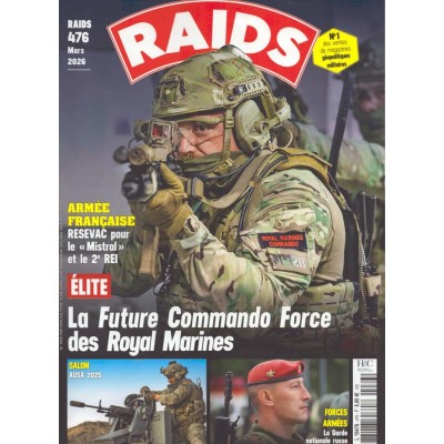 RAIDS