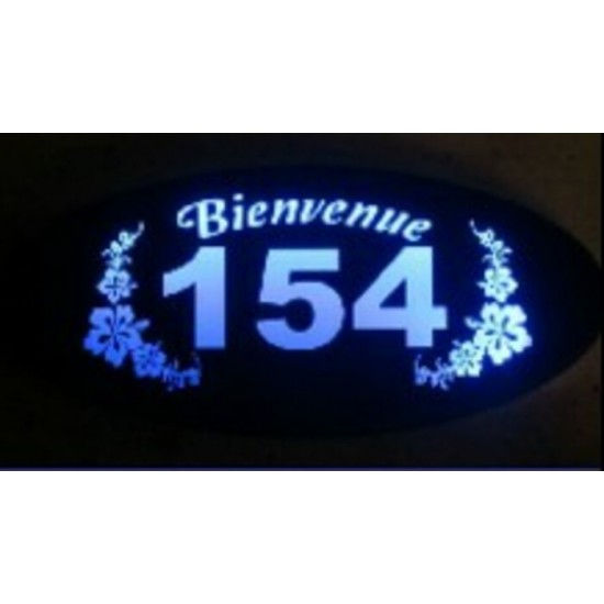 Numéro Civique