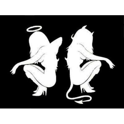  2x  4'' Motocross No Fear Girls  Décalque Vinyle...