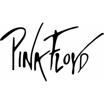  4''  Pink Floyd Vinyle Achetez en 2 Recevez 3ieme...