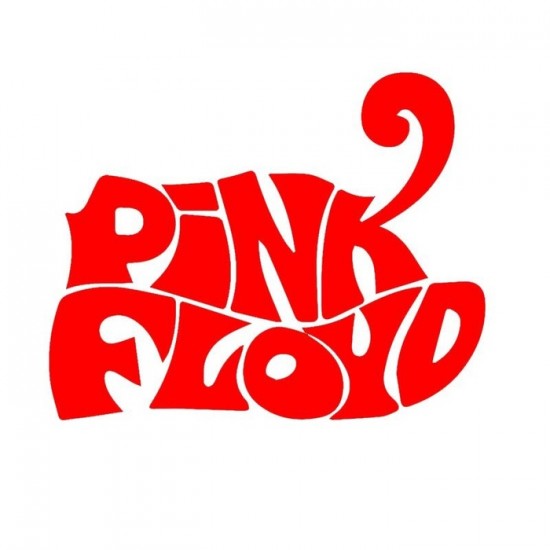  4''  Pink Floyd Vinyle Achetez en 2 Recevez 3ieme...