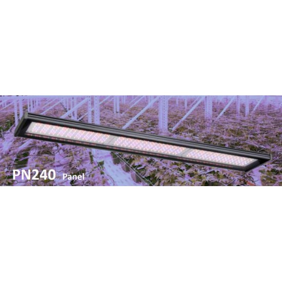 GROWSPEC PN240