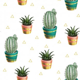 Cactus en pot - Couche de piscine 
