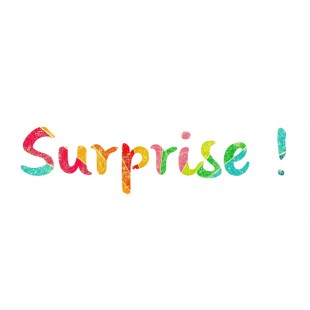 Motif surprise - Compresses d'allaitement lavables...