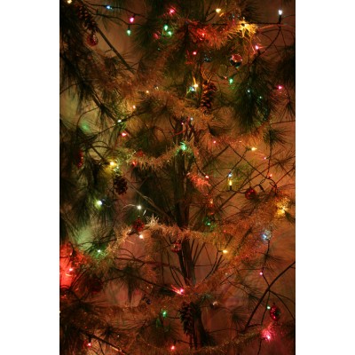 Branches de Noël (7 pieds - Conifère)