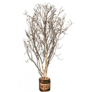 Branches de Noël (7 pieds - Feuillu)