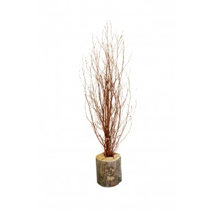 Petites Branches de Noël (4 pieds - Feuillu)