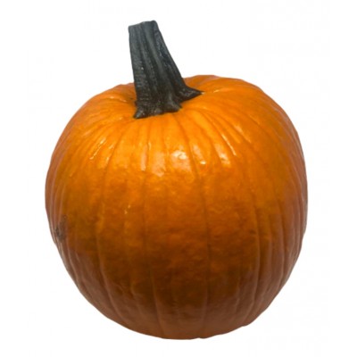 Éco-Ween - Gros ensemble