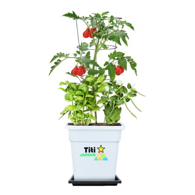 Titi Jardin - Tomate, Basilic, Haricot  - Commande...