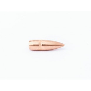 CamPro 223 55gr FMJ SBT