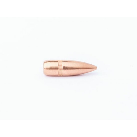 CamPro 223 55gr FMJ SBT