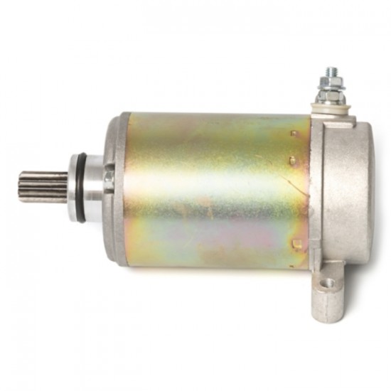 DEMAR YAM