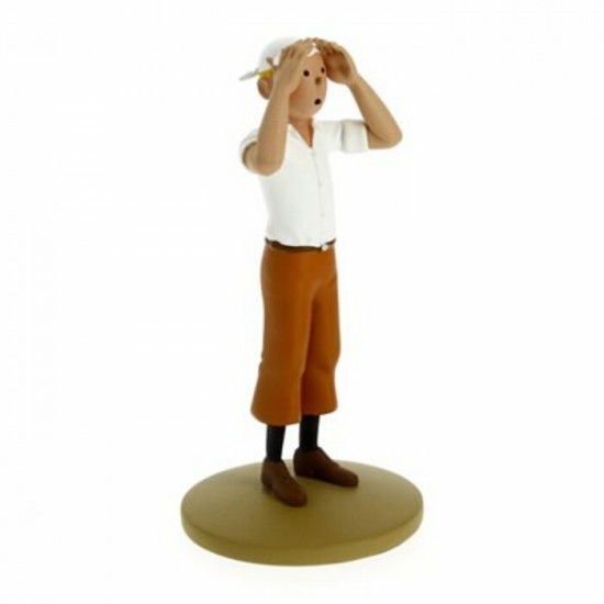 Tintin scrute le désert
