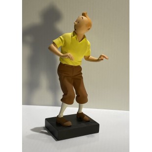 Tintin