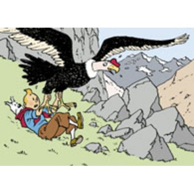 Affiche Le condor
