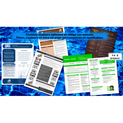 CV - Curriculum Vitae