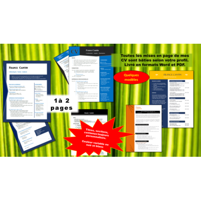 1 CV + 1 lettre développée avec arguments personnalisés 
