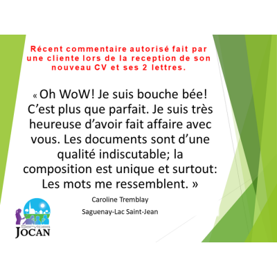 1 CV + 1 lettre développée avec arguments personnalisés 