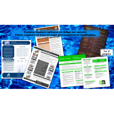 Curriculum Vitae pour professionnel