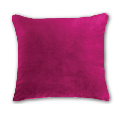 Coussin Velours Langtry Euro