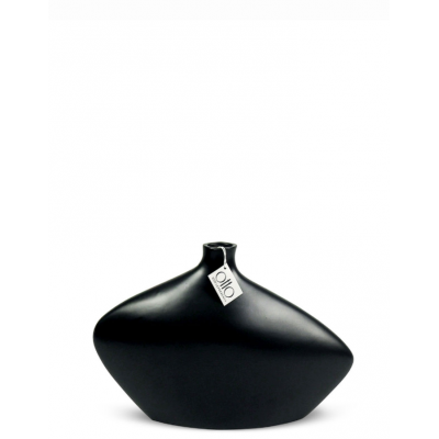 Vase Noir Bouteille