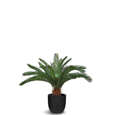 Palmier Artificiel Cycas