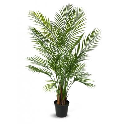 Palmier Artificiel Areca