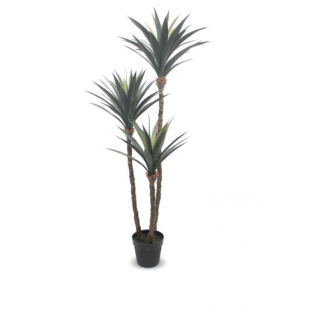Dracaena en pot – Plante tropicale réaliste