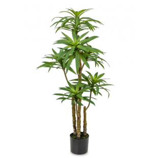 Dracaena Artificiel à Tronc Multiple