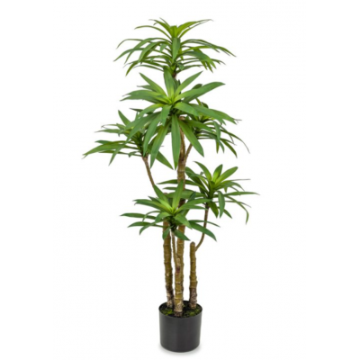 Dracaena Artificiel à Tronc Multiple