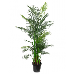 Palmier Artificiel des Canaries en Pot