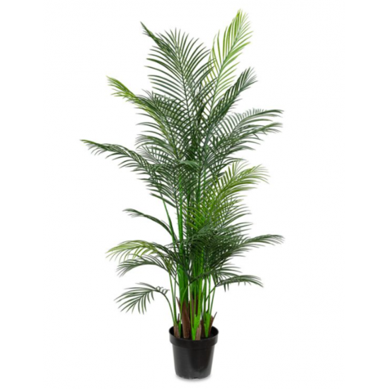 Palmier Artificiel des Canaries en Pot