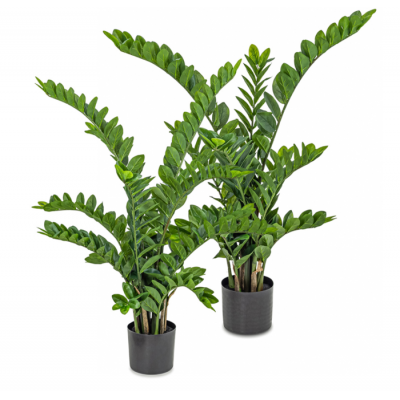 Plante Zamio Artificielle – 2 Formats...