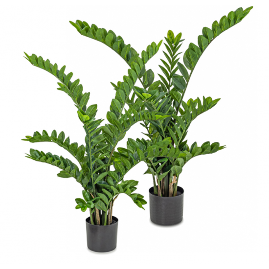 Plante Zamio Artificielle – 2 Formats Disponibles