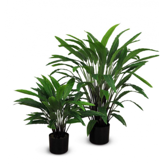 Plante Calathea Artificielle – 2 Formats Disponibles