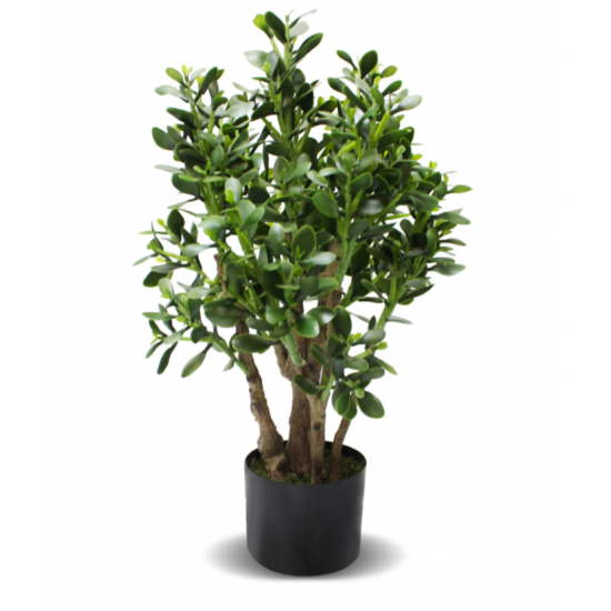 Plante de Jade Artificielle – Look Naturel