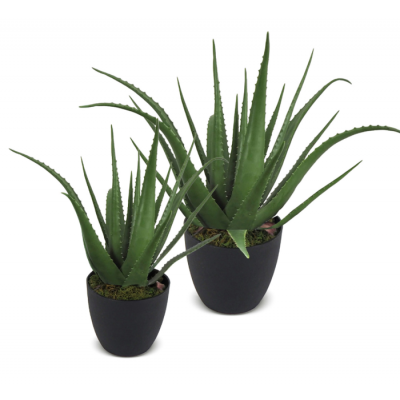 Aloès Artificiel – 2 Formats Disponibles