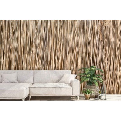 Murale naturelle de roseaux – Esprit...