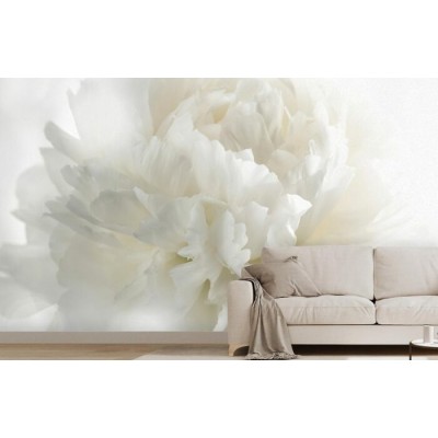 Murale Douceur Blanche – Fleur apaisante