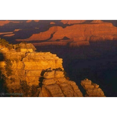 Murale Grand Canyon 