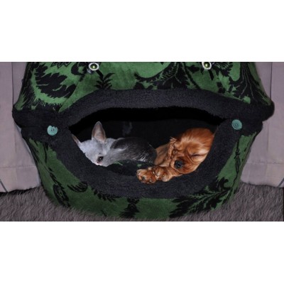 Coussin Coquille , motif en relief vert (grand)