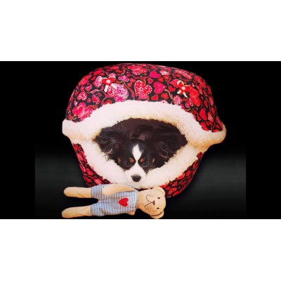 Coussin Coquille , face de chat (moyen)