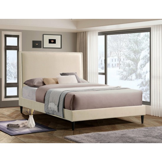 Lit Queen IF-5572 (Creme)