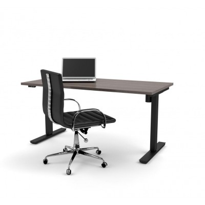 Bureau assis-debout 30“ x 60“ Universel