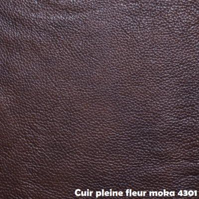 Sofa inclinable 9133 (4301)