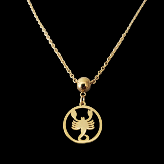 Collier ZODIAC Acier Inoxydable