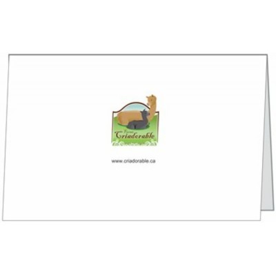 Carte Tristan et Iseult