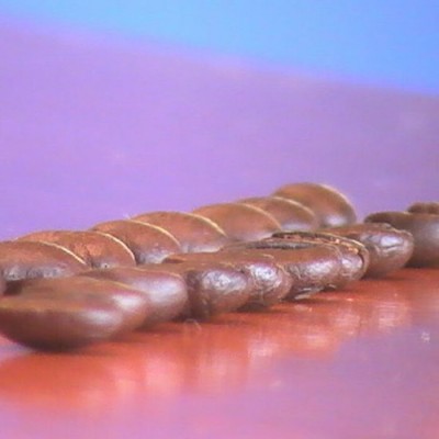 Les Deux Continents - Format 5 lbs