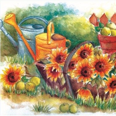 Tournesols et arrosoires 