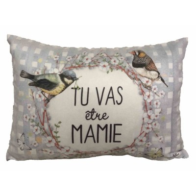 Coussin Tu vas être mamie